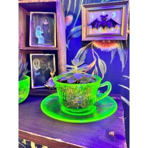Mini Succulent Planter Vaseline UV Glass Tea Cup & Saucer Vaseline Black Light